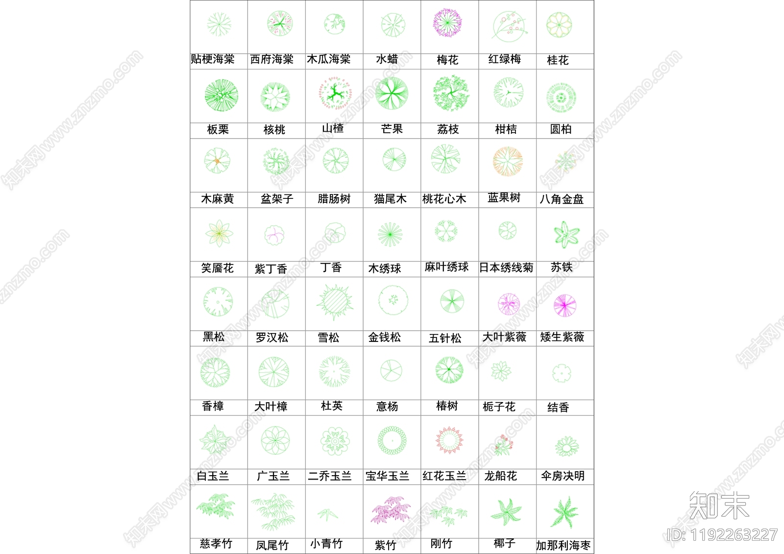 现代植物配置图库cad施工图下载【ID:1192263227】
