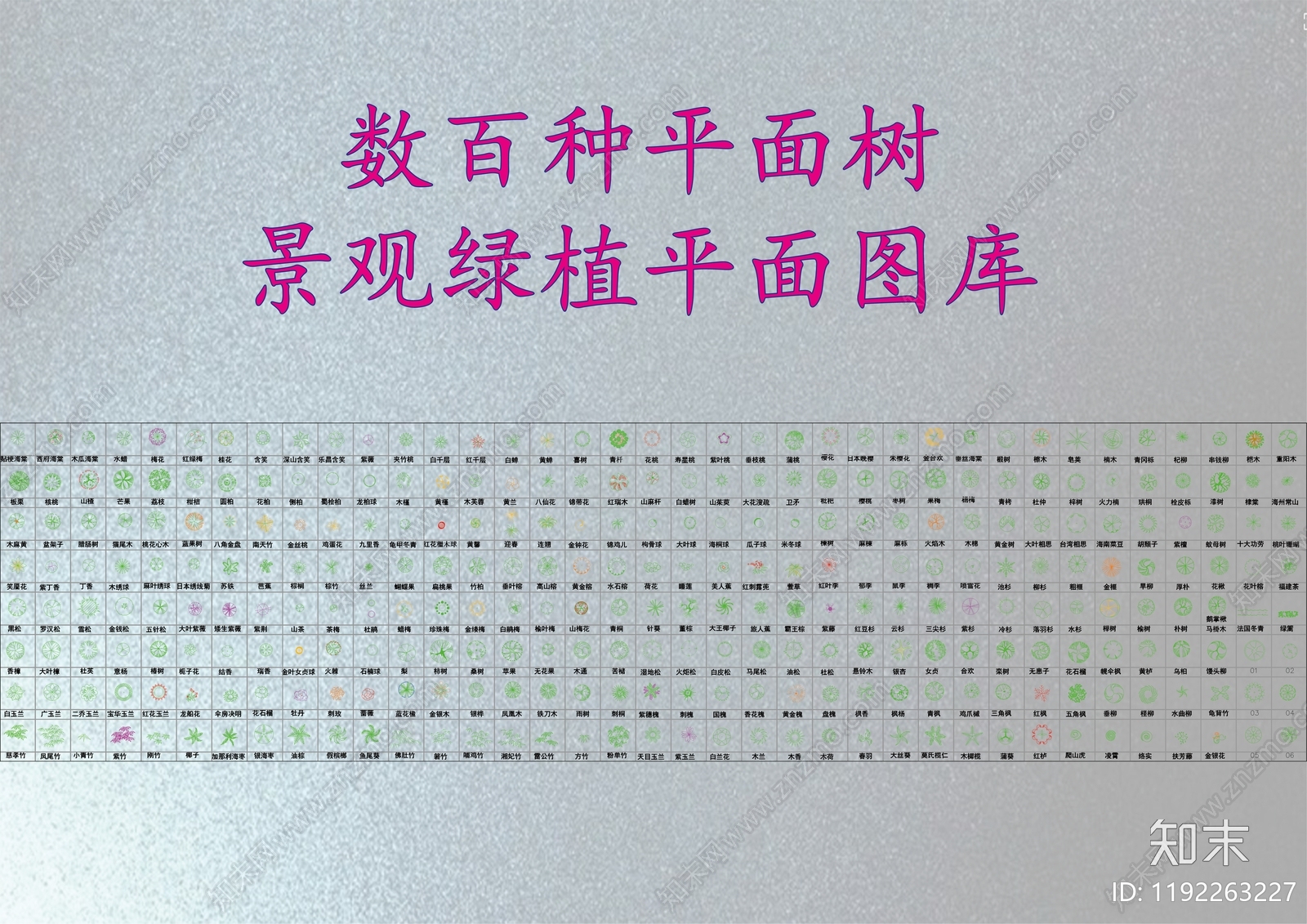 现代植物配置图库施工图下载【ID:1192263227】