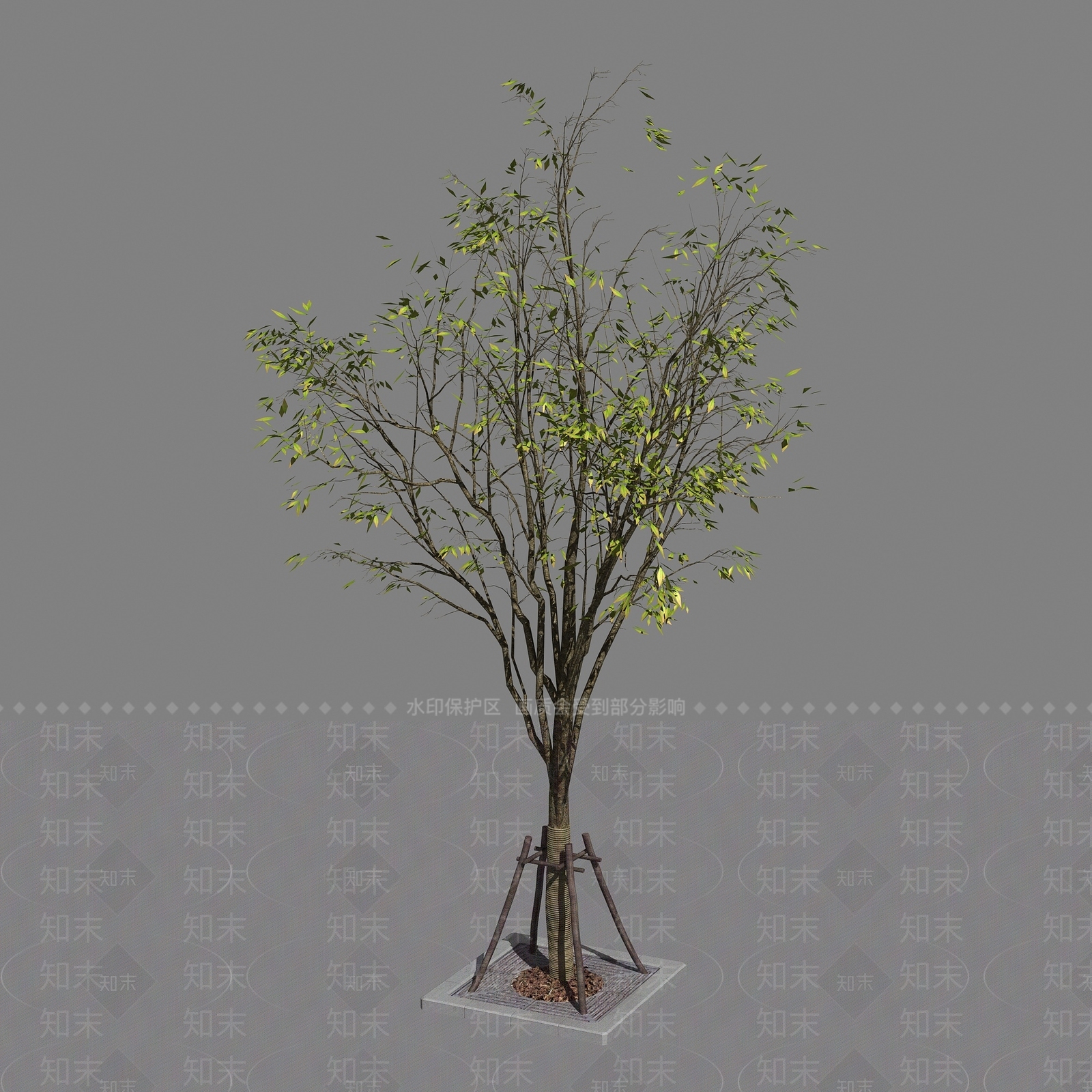 景观树3D模型下载【ID:1192263388】