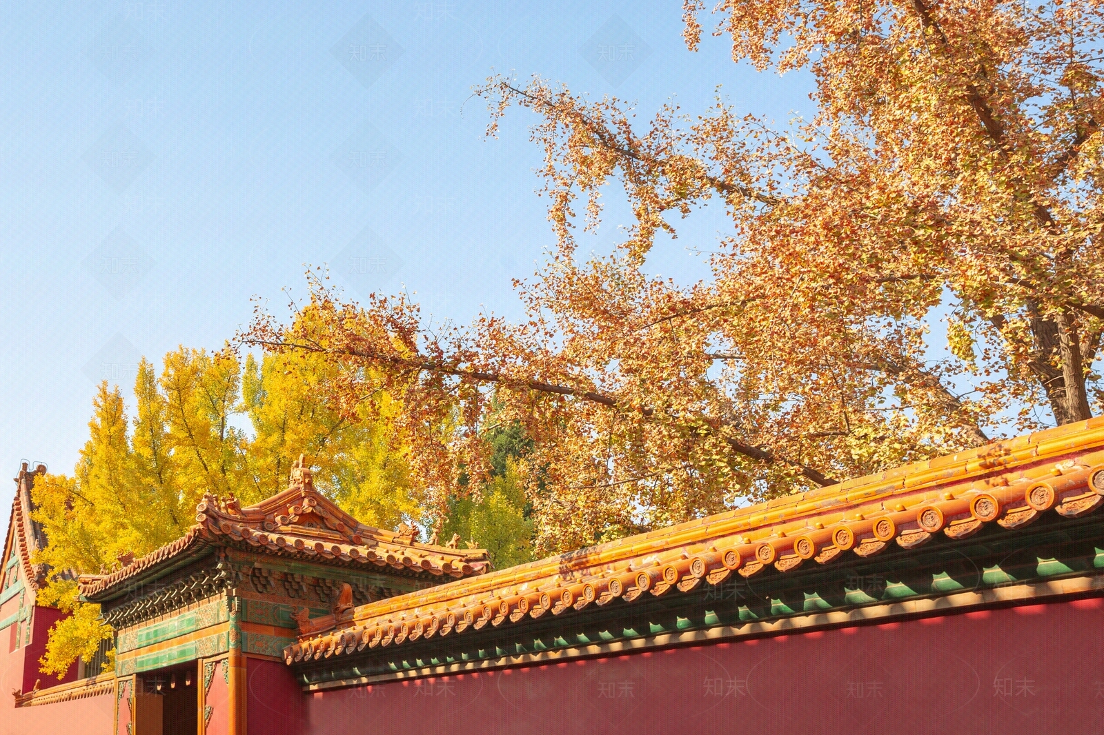 中式其它外景贴图下载【ID:1192326347】