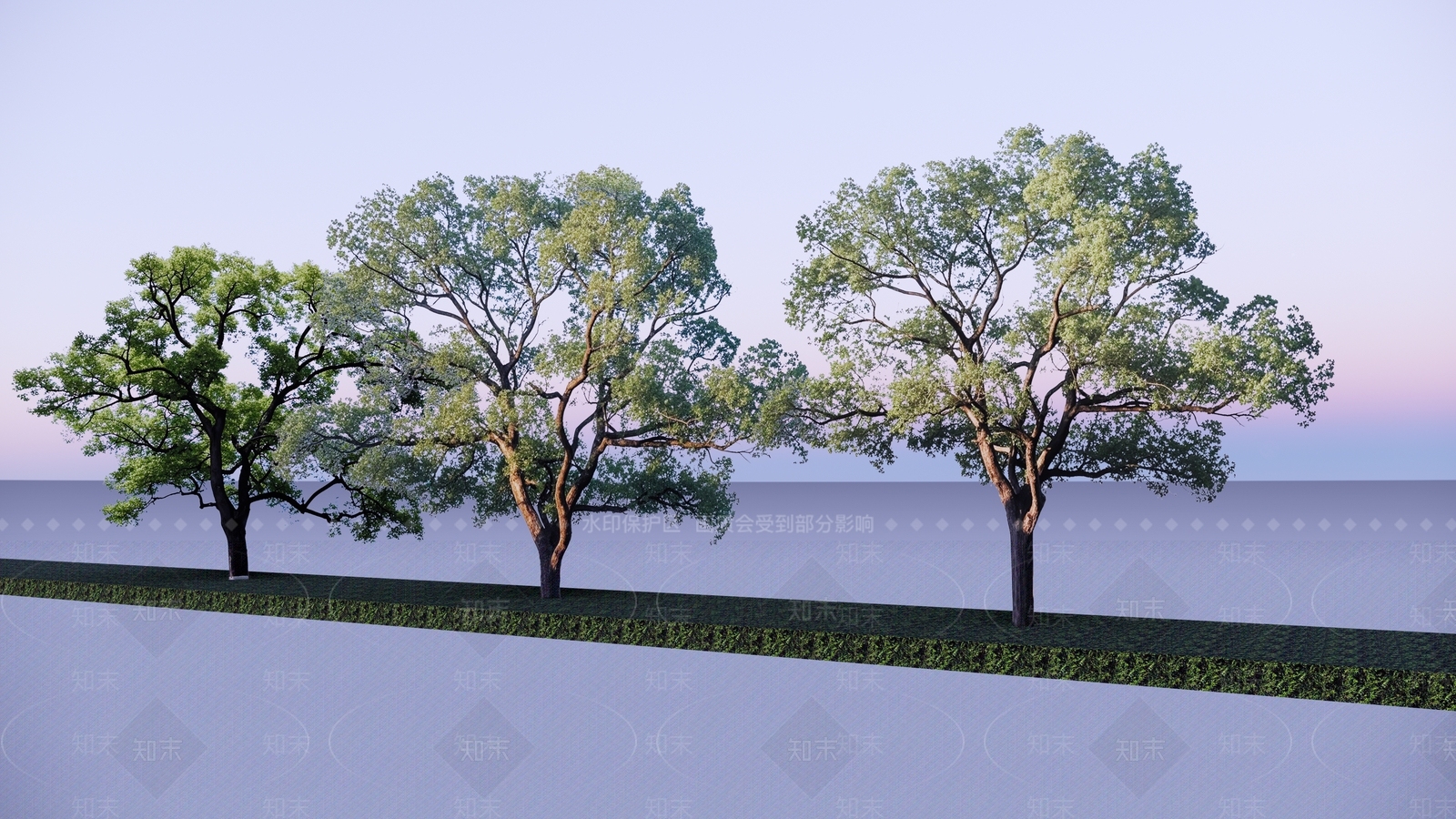 2D大树香樟SU模型下载【ID:1192329366】