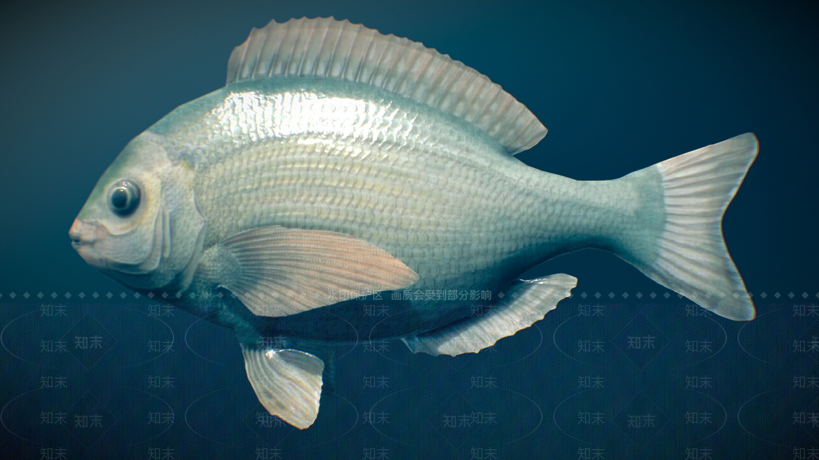 水生类动物3D模型下载【ID:1192357554】