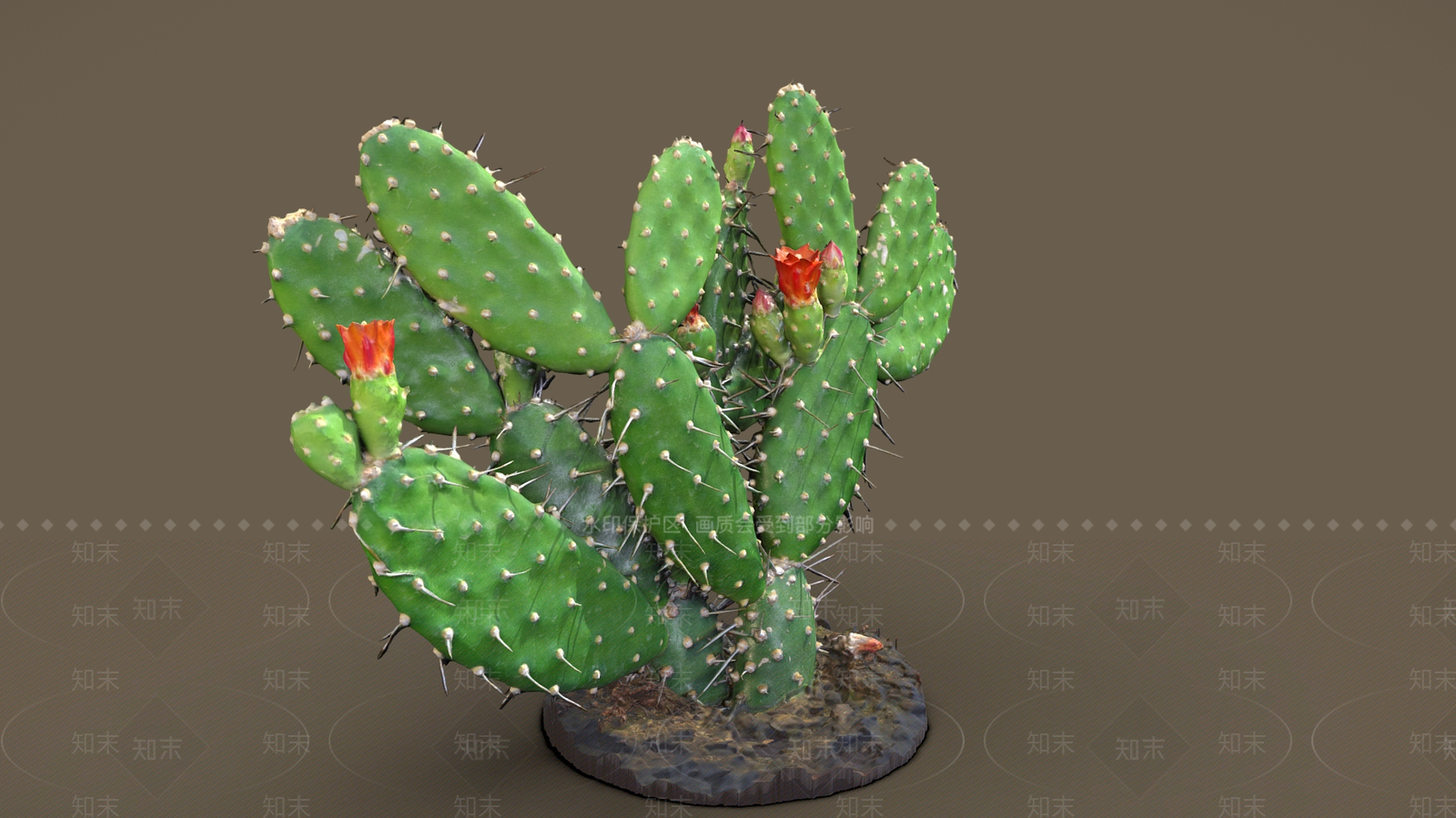 其他绿植3D模型下载【ID:1192362738】