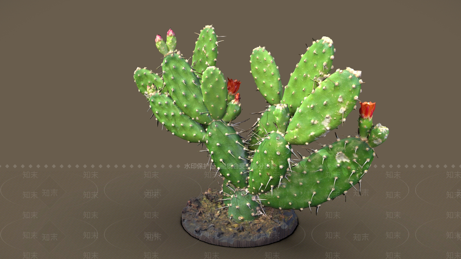 其他绿植3D模型下载【ID:1192362738】