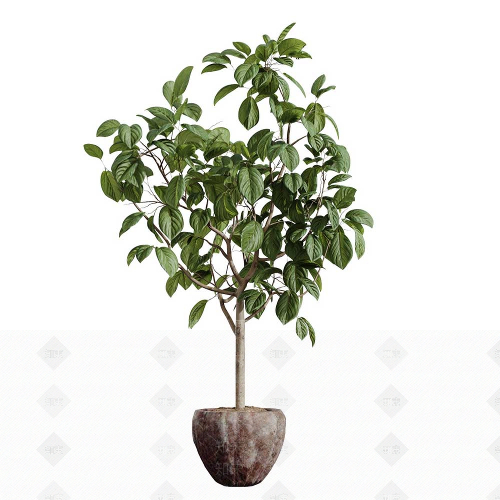 灌木3D模型下载【ID:1192367817】