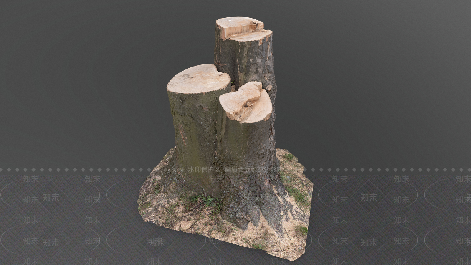 景观树3D模型下载【ID:1192403462】