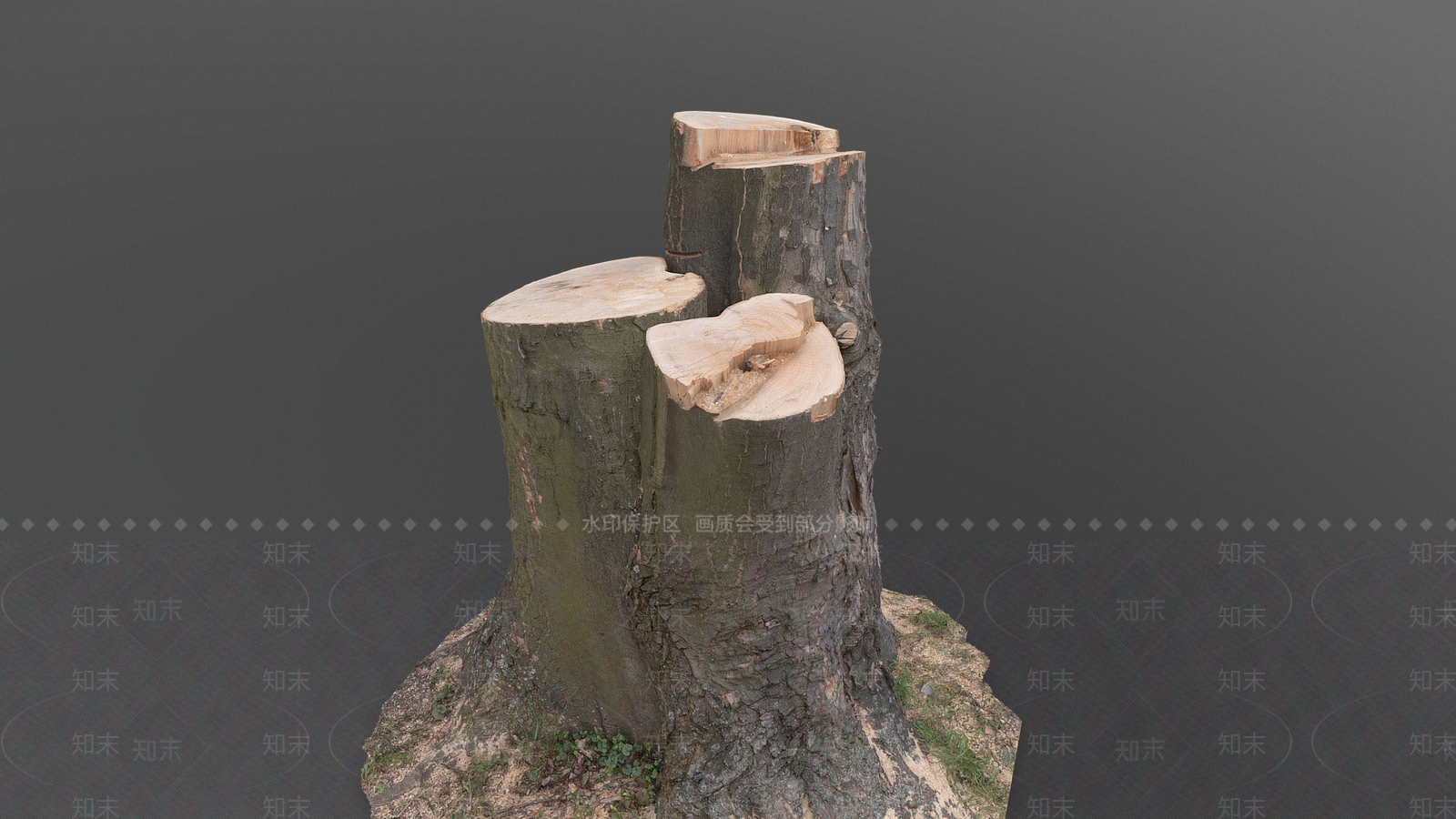 景观树3D模型下载【ID:1192403462】
