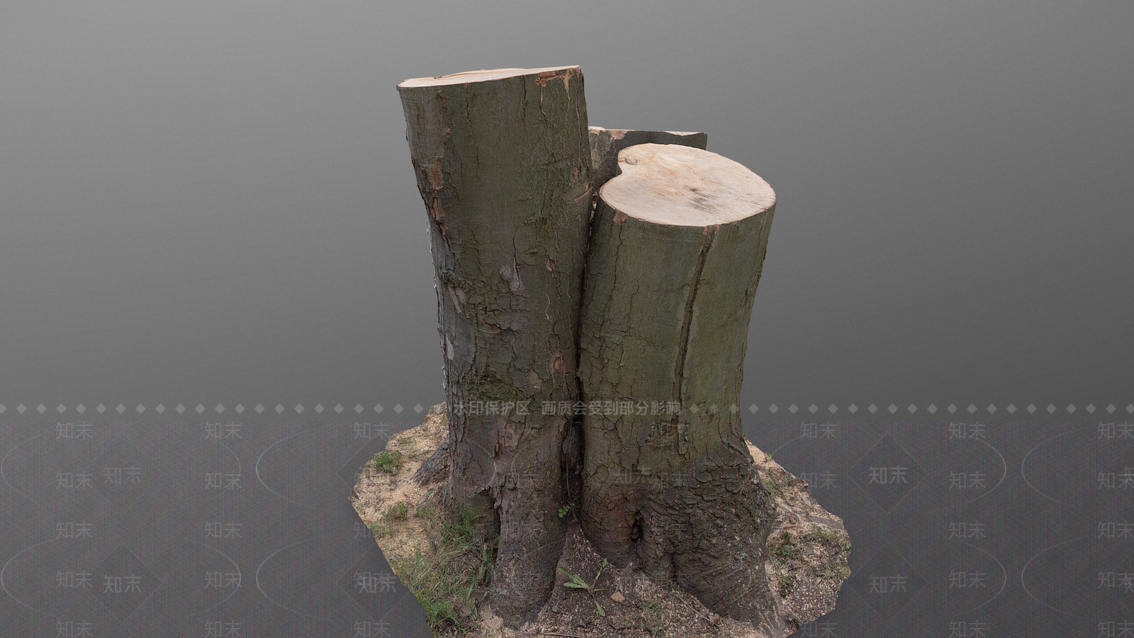 景观树3D模型下载【ID:1192403462】