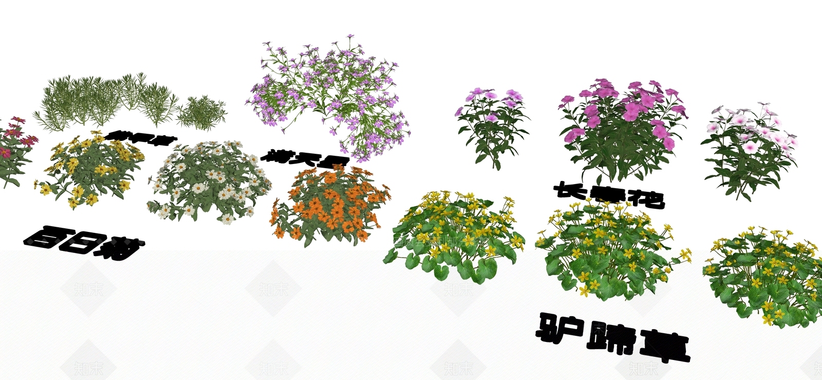 花草SU模型下载【ID:1192427783】