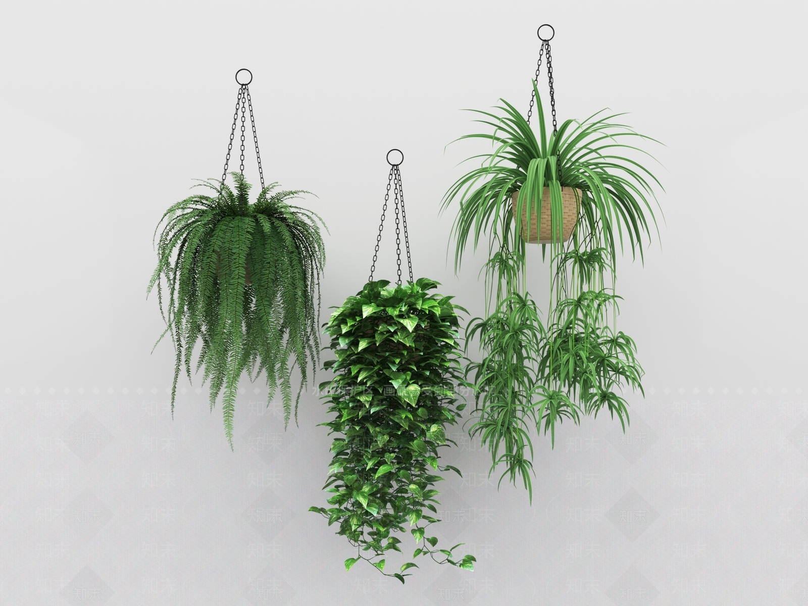 其他绿植3D模型下载【ID:1192445484】