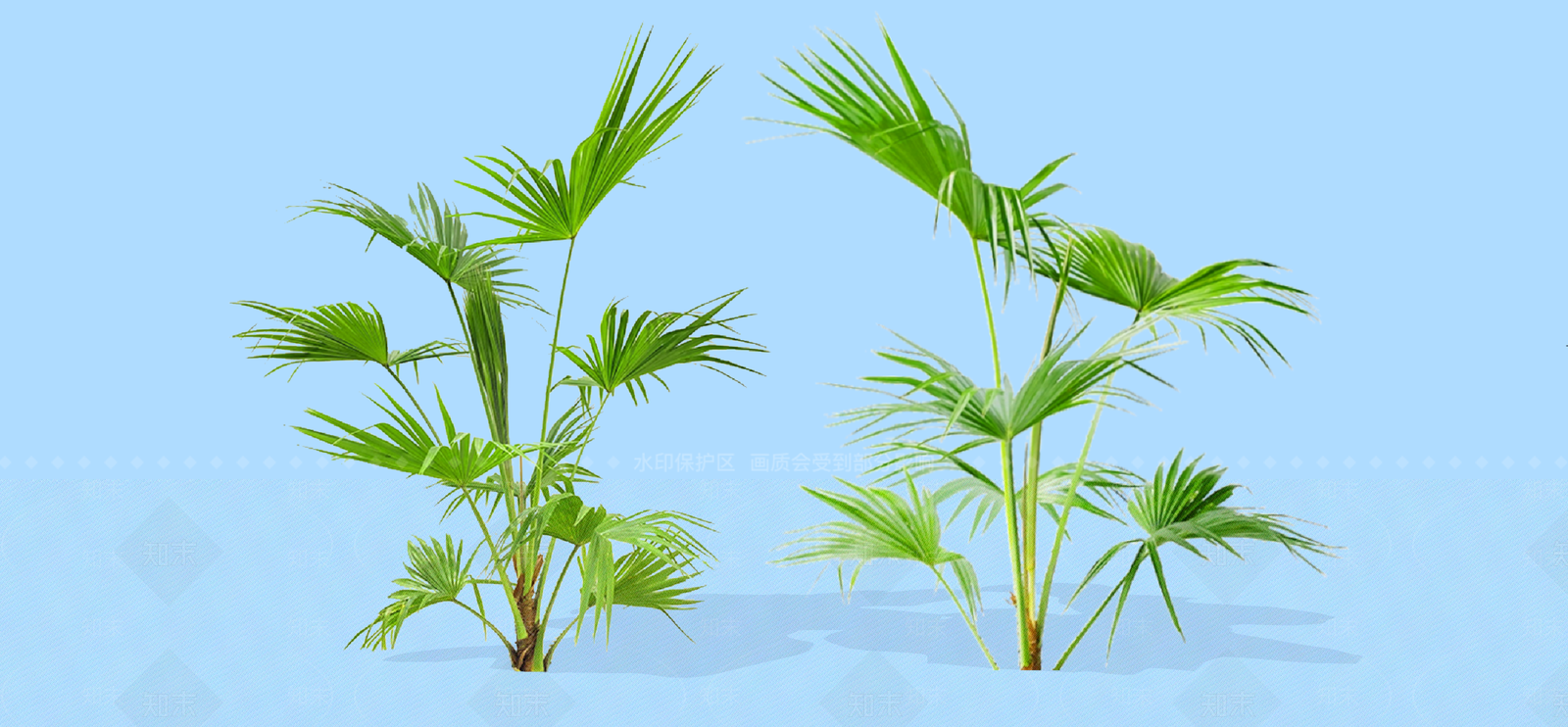 灌木SU模型下载【ID:1192471017】