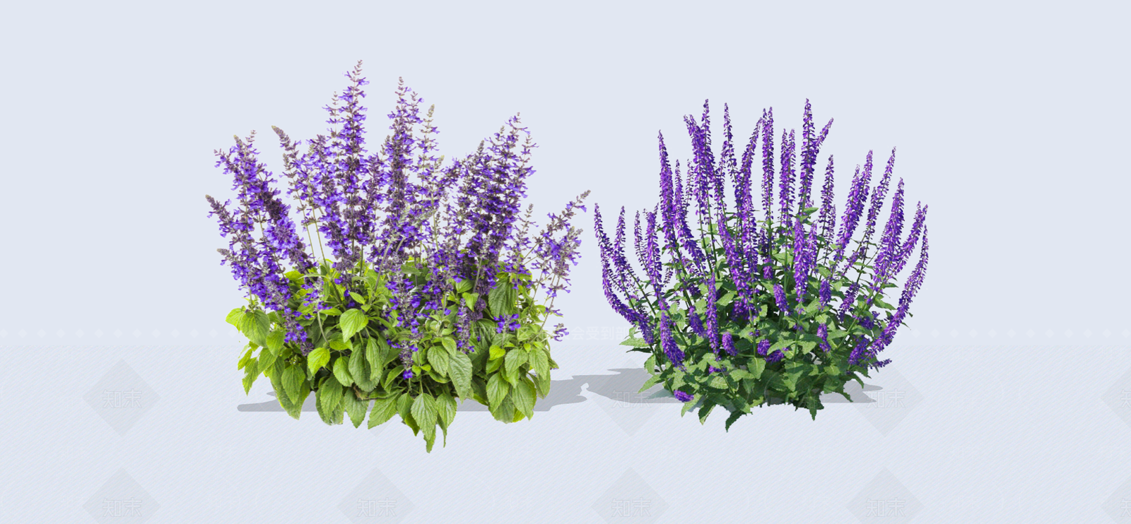 花草SU模型下载【ID:1192471833】