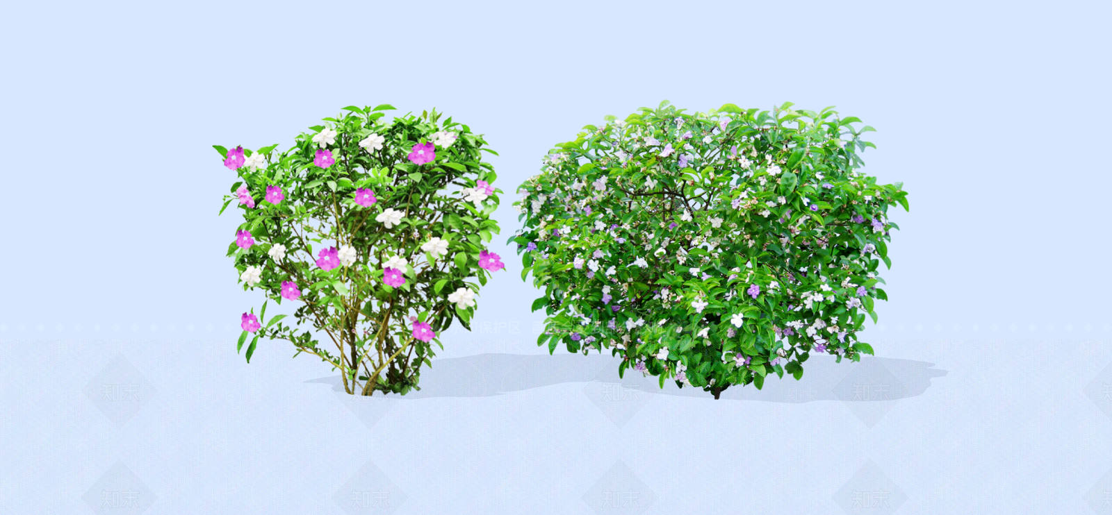 花草SU模型下载【ID:1192472910】