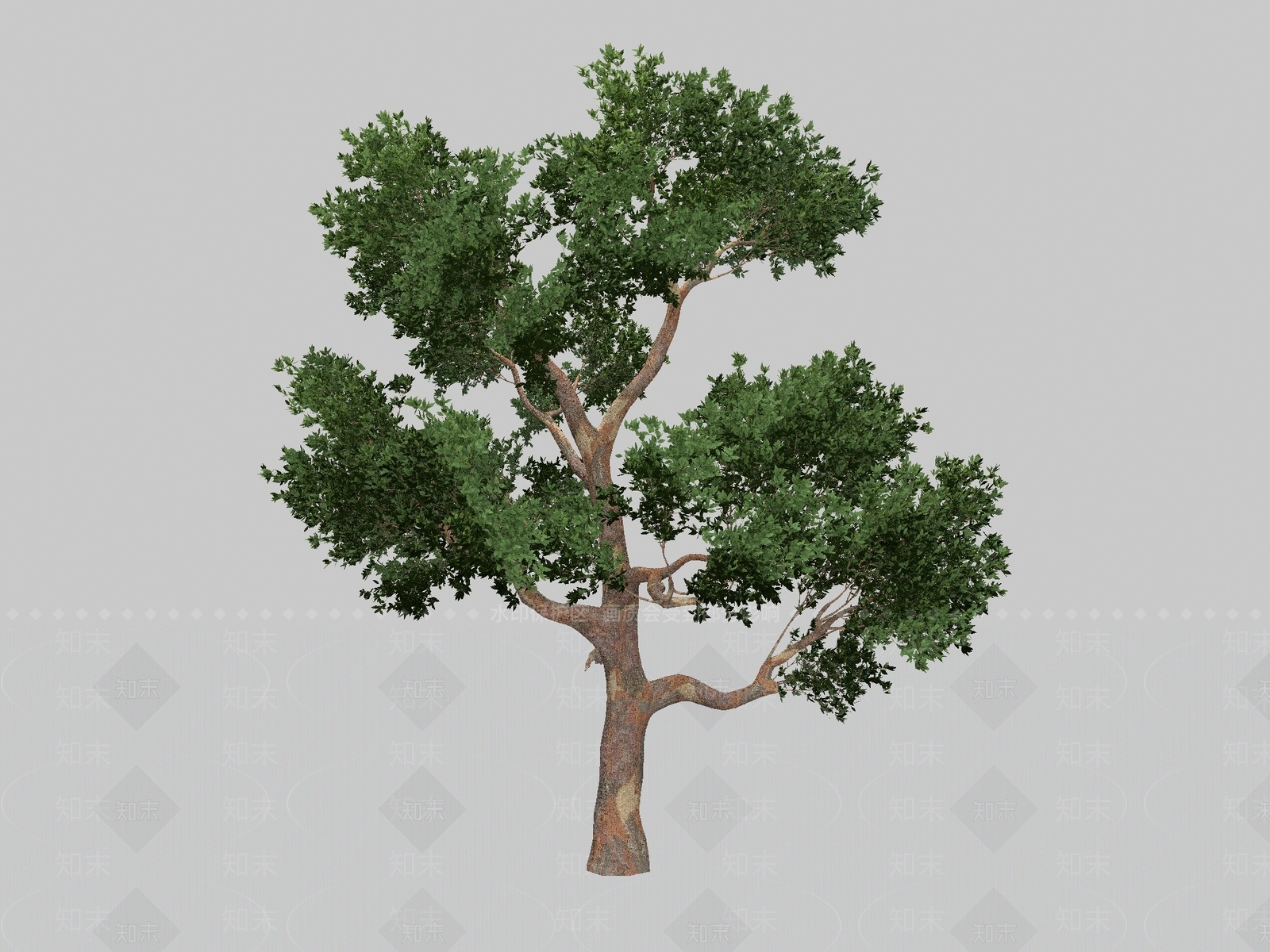 景观树3D模型下载【ID:1192510417】