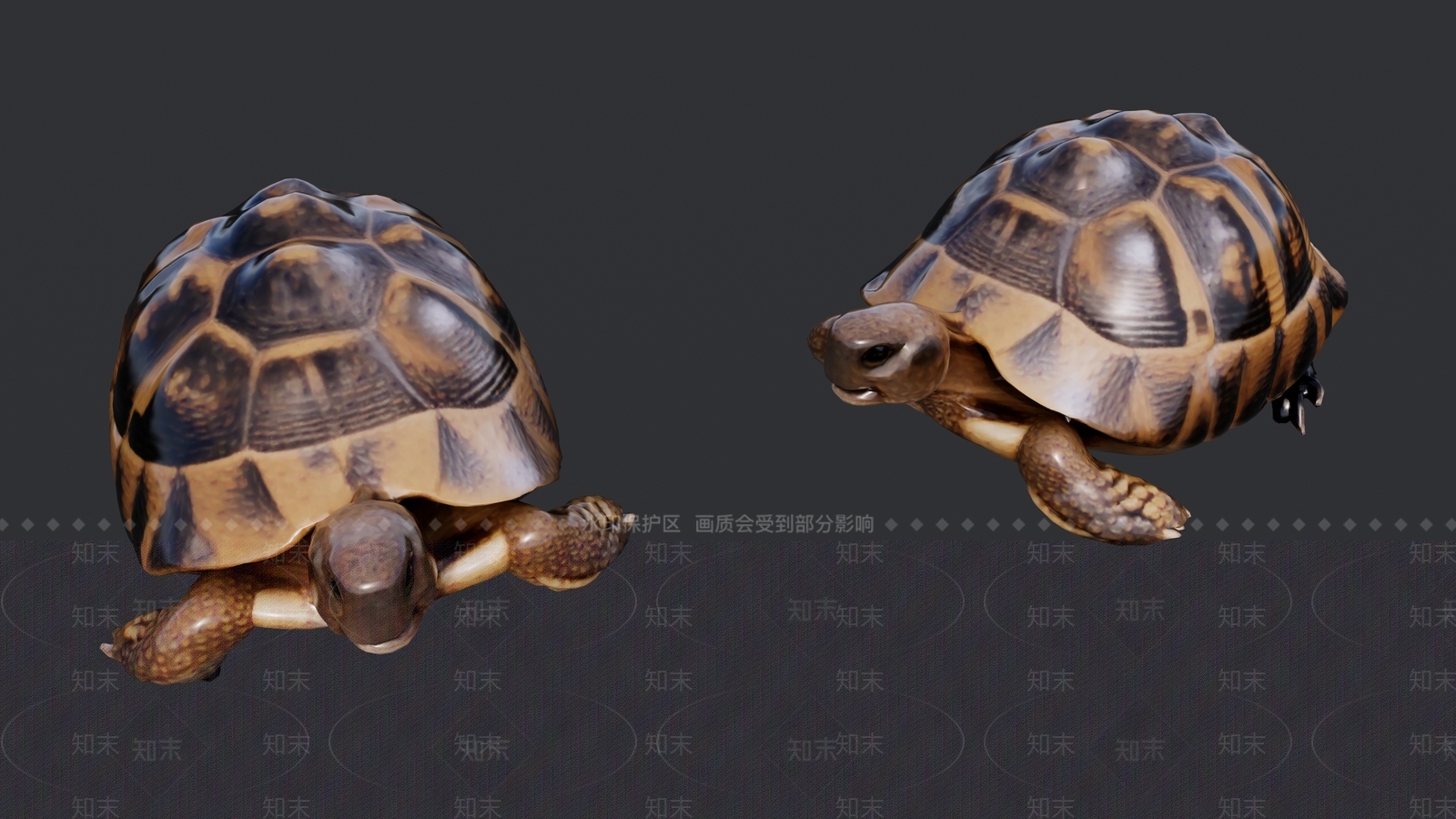 爬行动物SU模型下载【ID:1192529190】