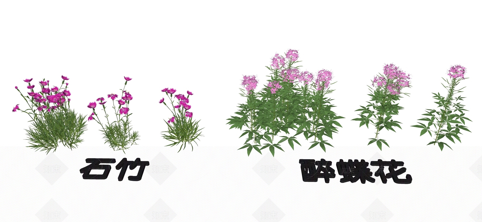 花草SU模型下载【ID:1192530966】