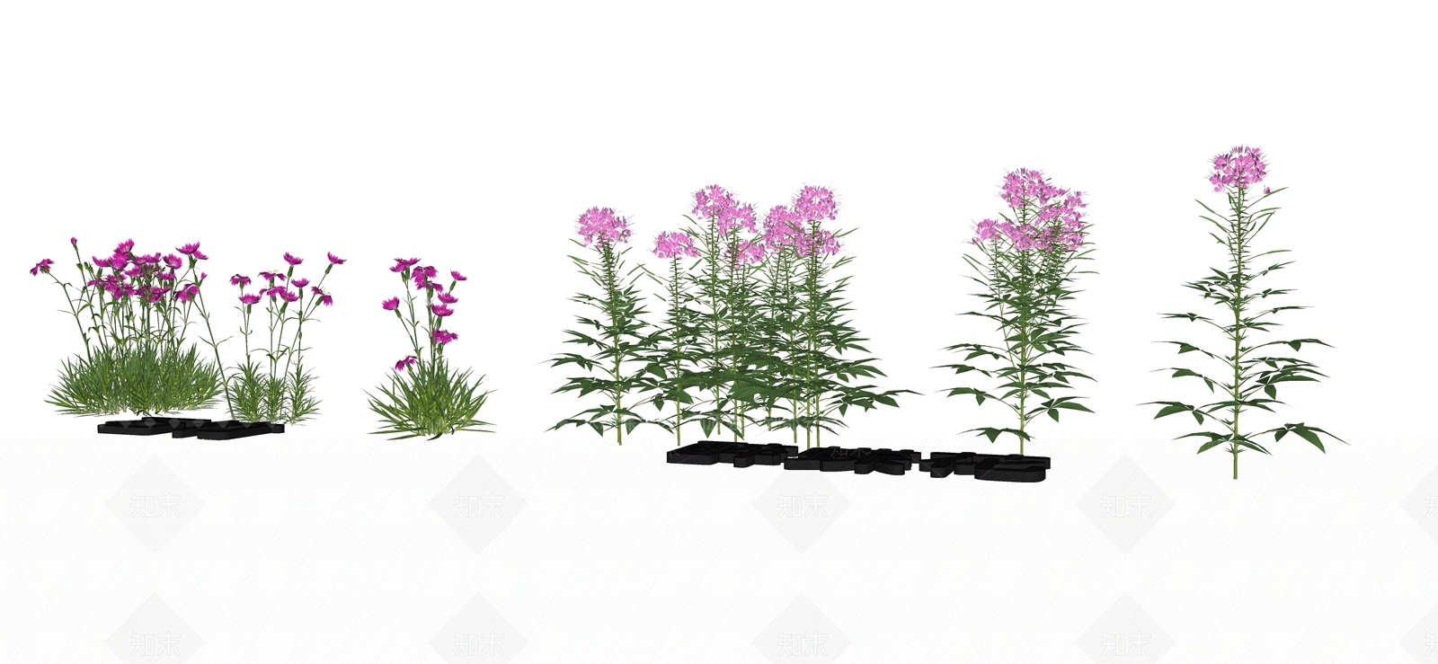 花草SU模型下载【ID:1192530966】