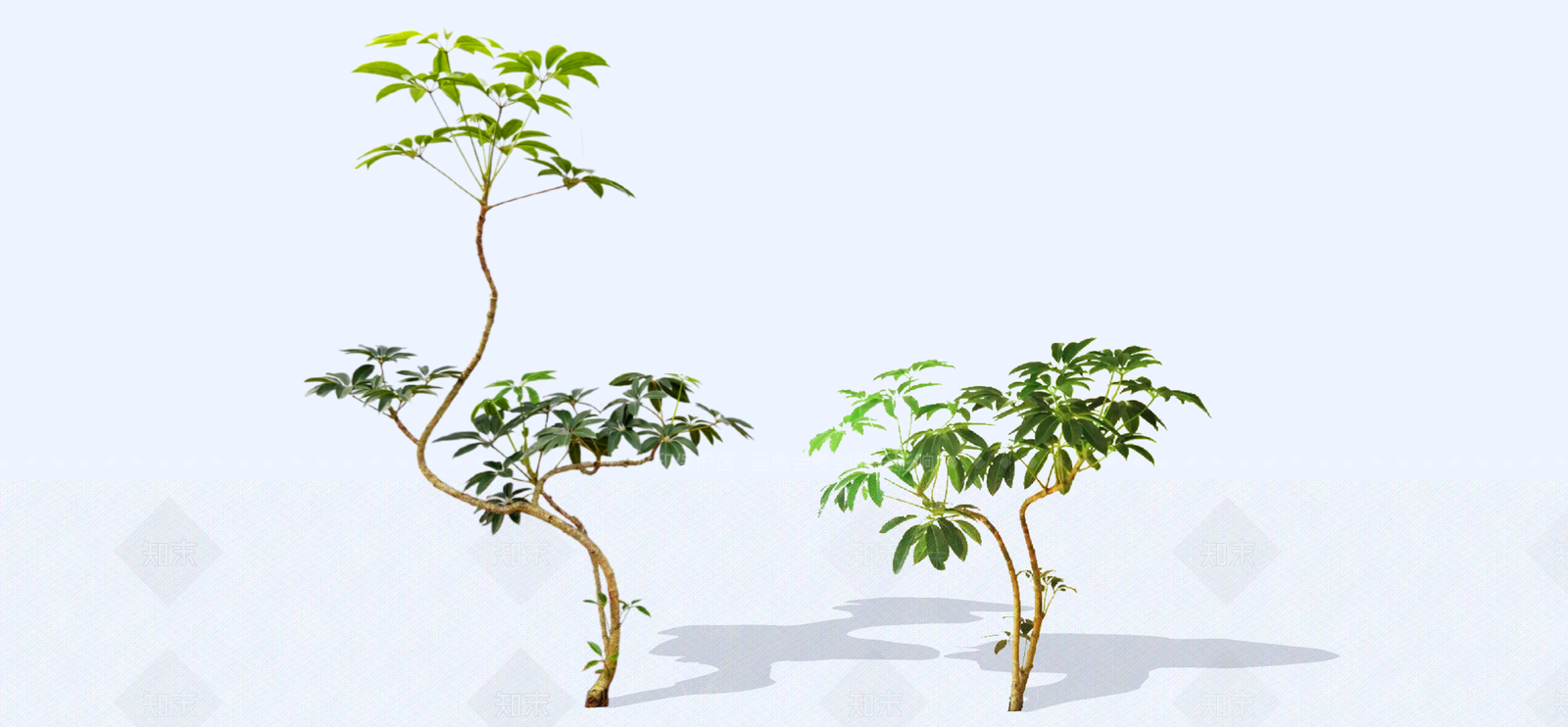 灌木SU模型下载【ID:1192533643】