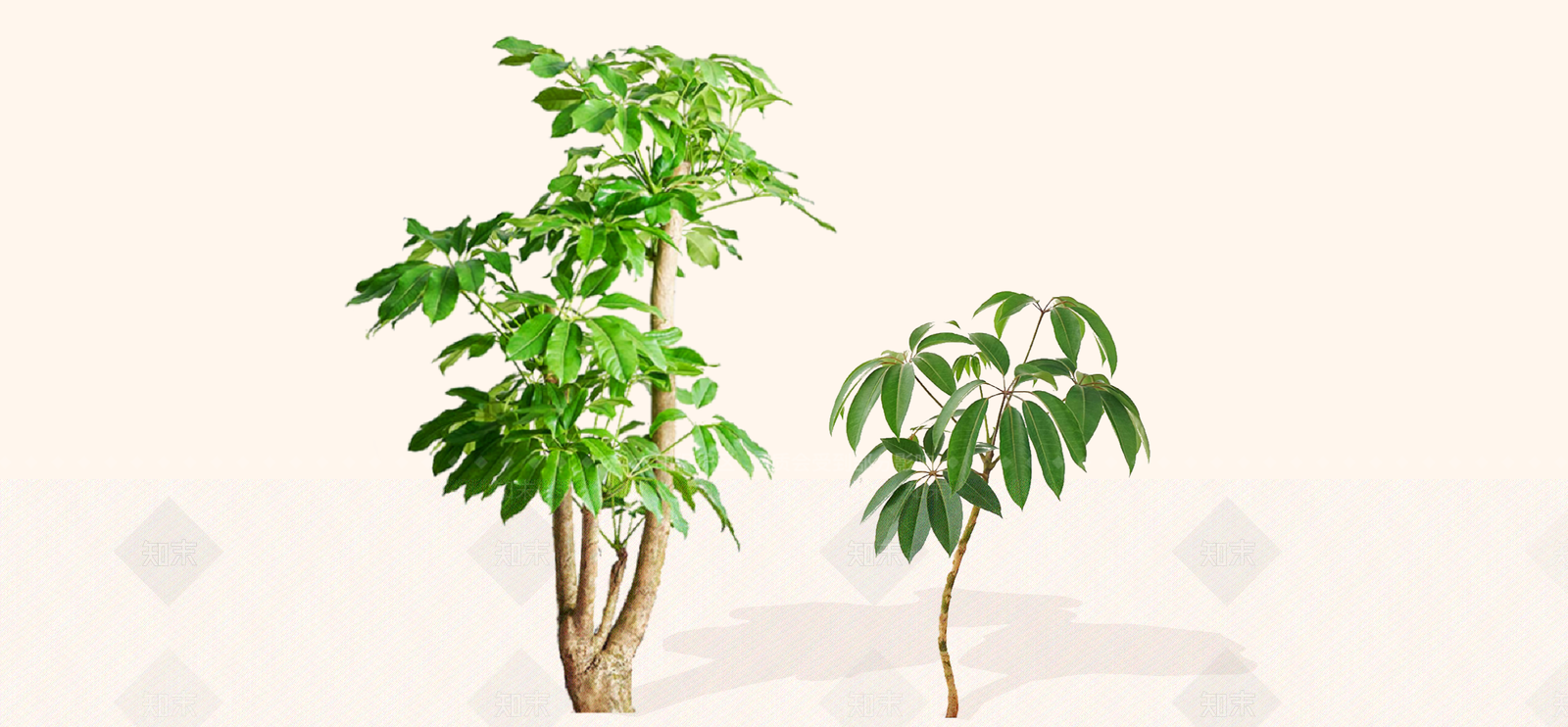 灌木SU模型下载【ID:1192533768】