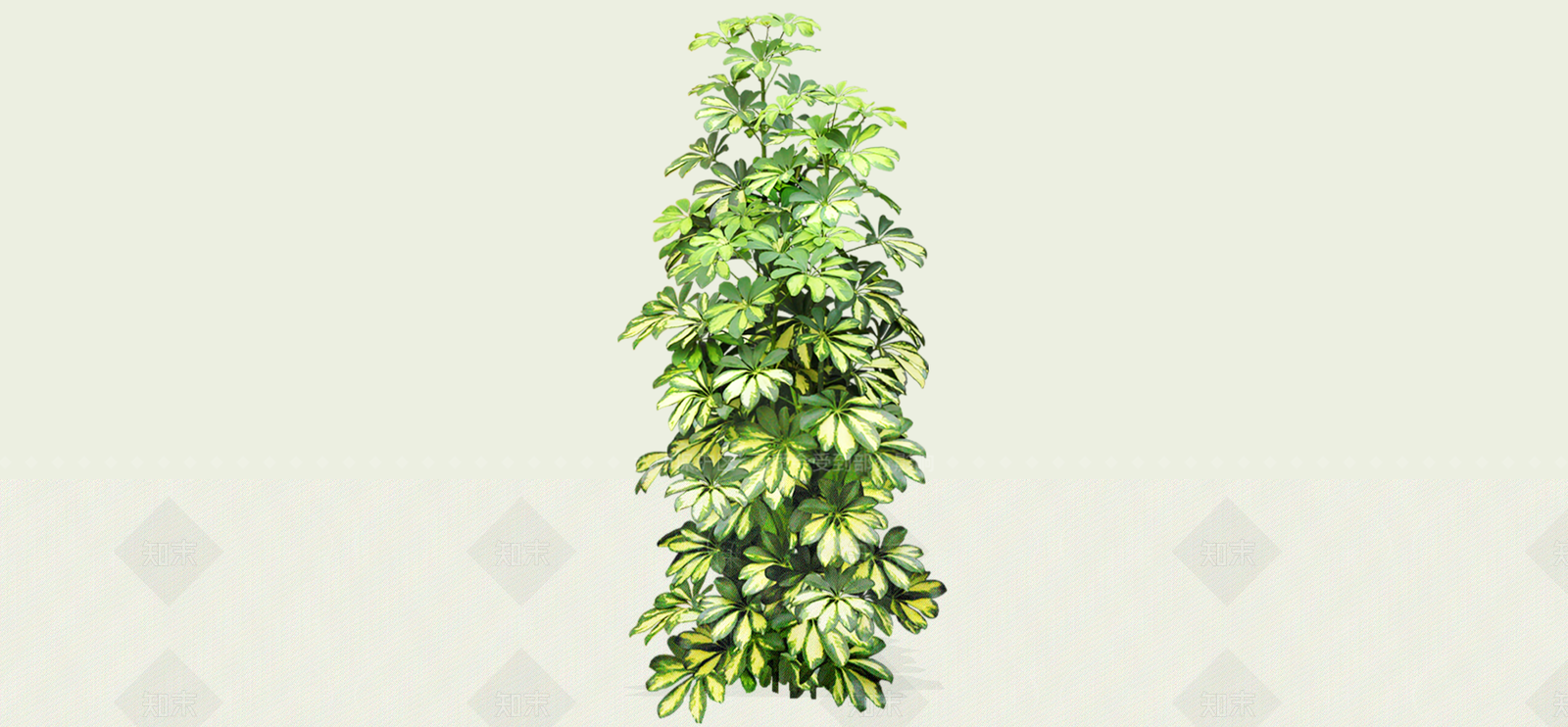 灌木SU模型下载【ID:1192533943】