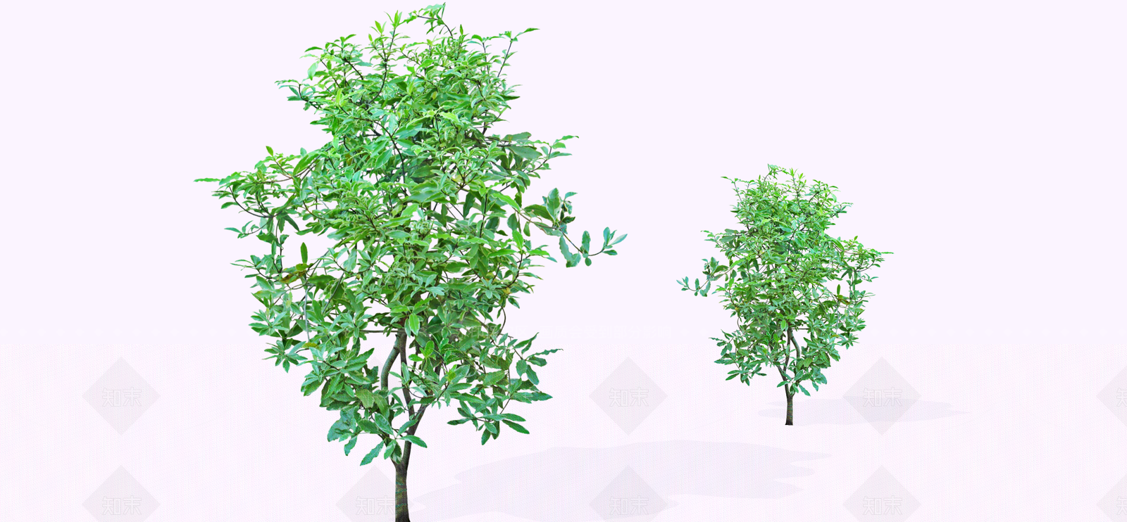 灌木SU模型下载【ID:1192535158】