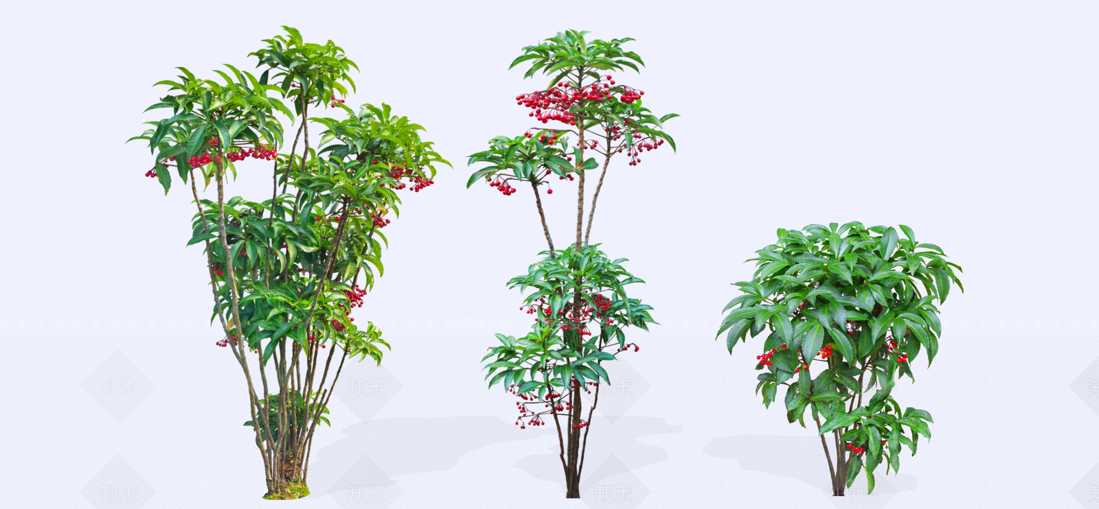 灌木SU模型下载【ID:1192536633】