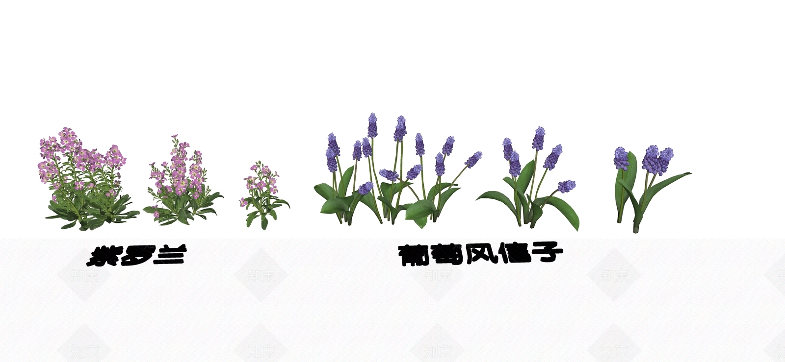 花草SU模型下载【ID:1192537347】
