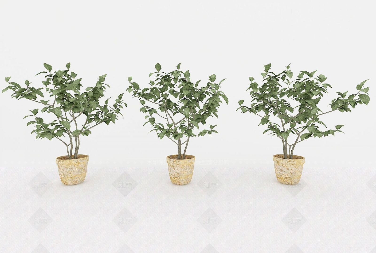 现代装饰植物3D模型下载【ID:1192559383】