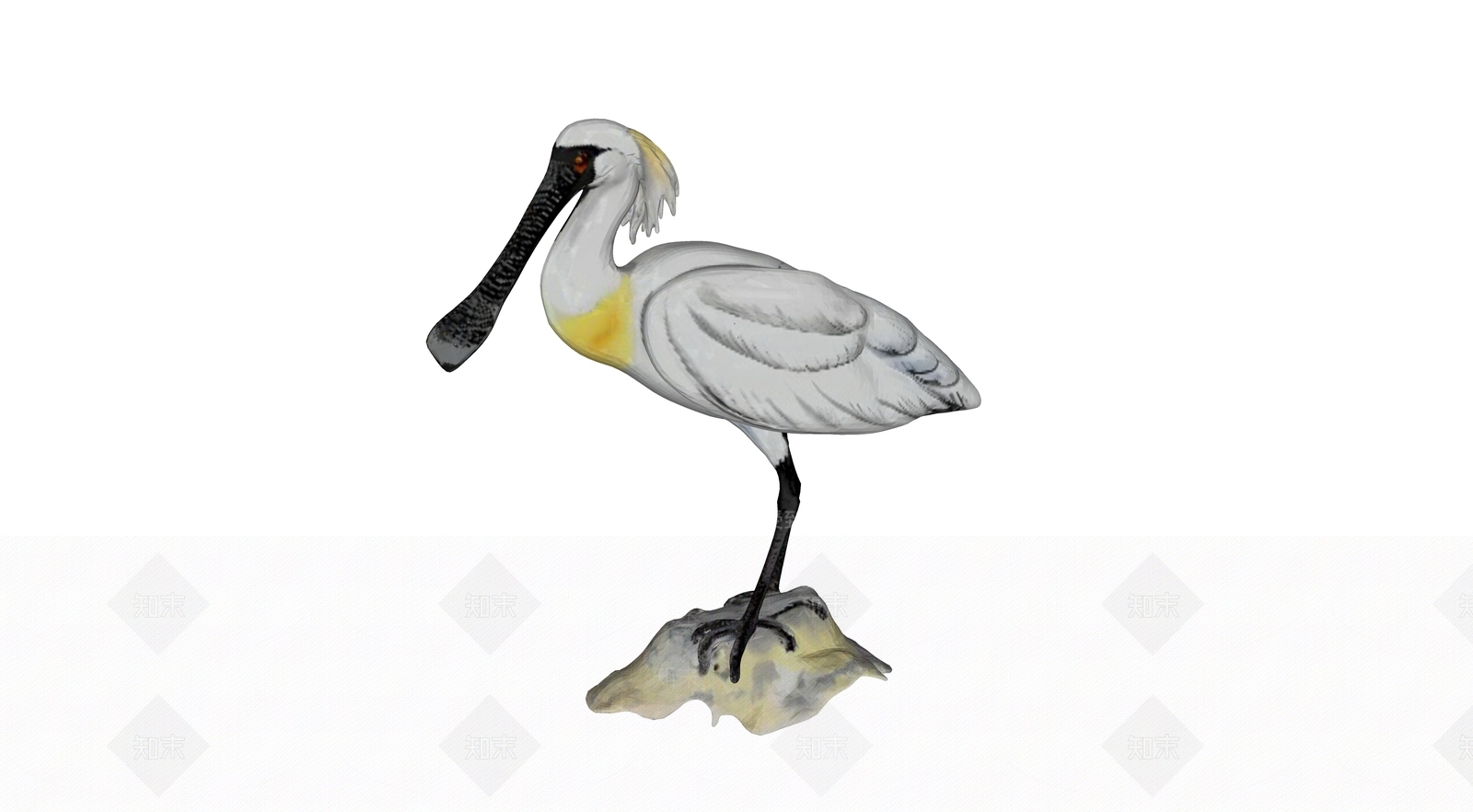 飞行类动物3D模型下载【ID:1192619884】