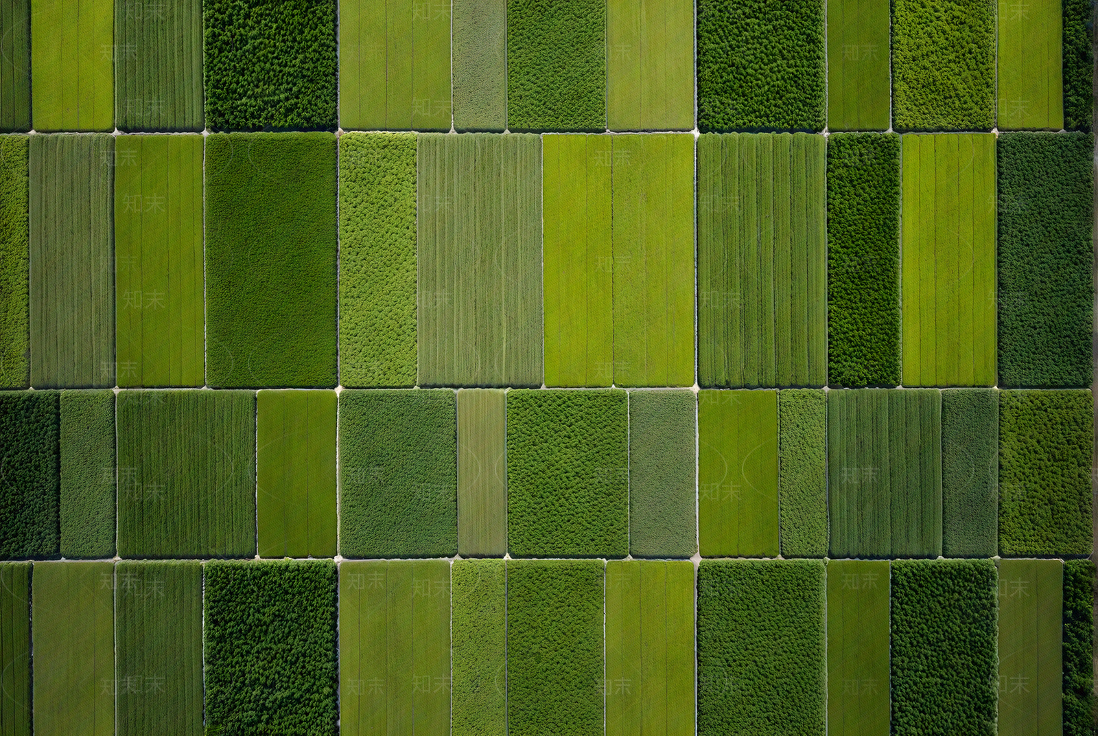 其它外景贴图下载【ID:1192618661】