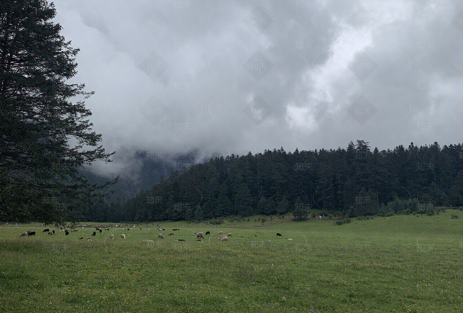 现代简约乡村贴图下载【ID:1192626295】