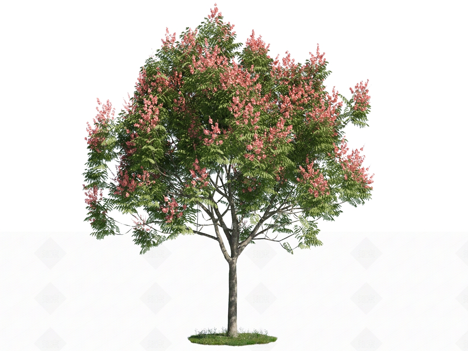 景观树3D模型下载【ID:1192626559】