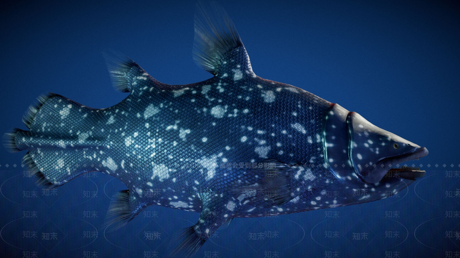 水生类动物3D模型下载【ID:1192677560】