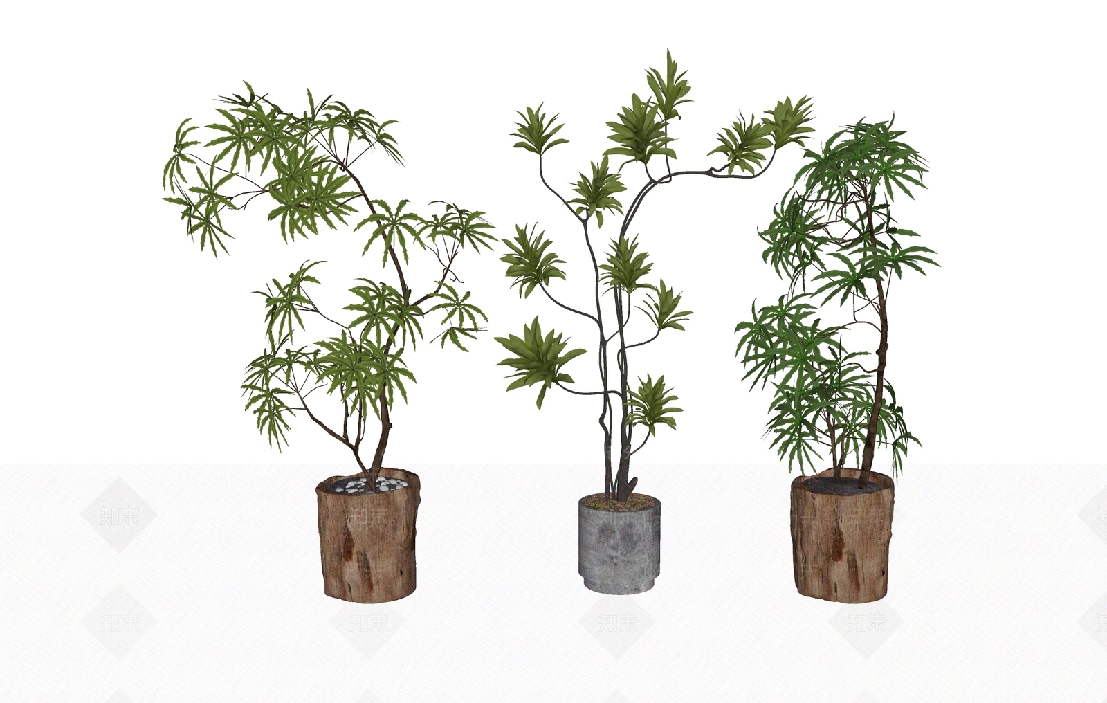 植物组合SU模型下载【ID:1192683297】