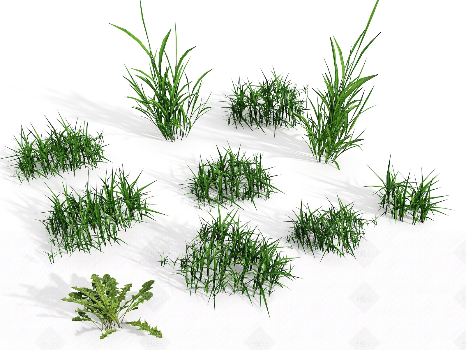 花草SU模型下载【ID:1192693797】