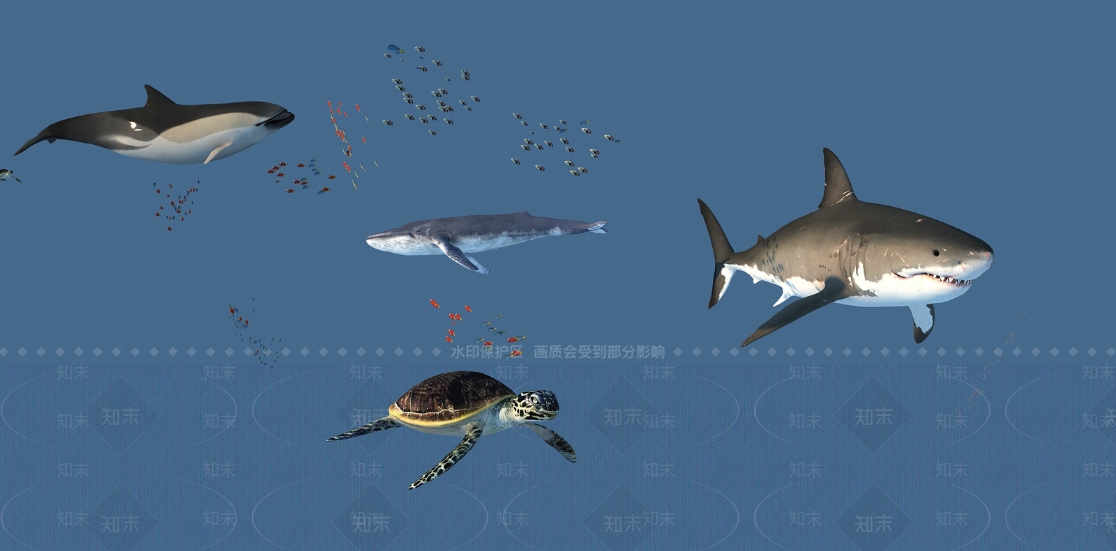 水生动物SU模型下载【ID:1192702167】