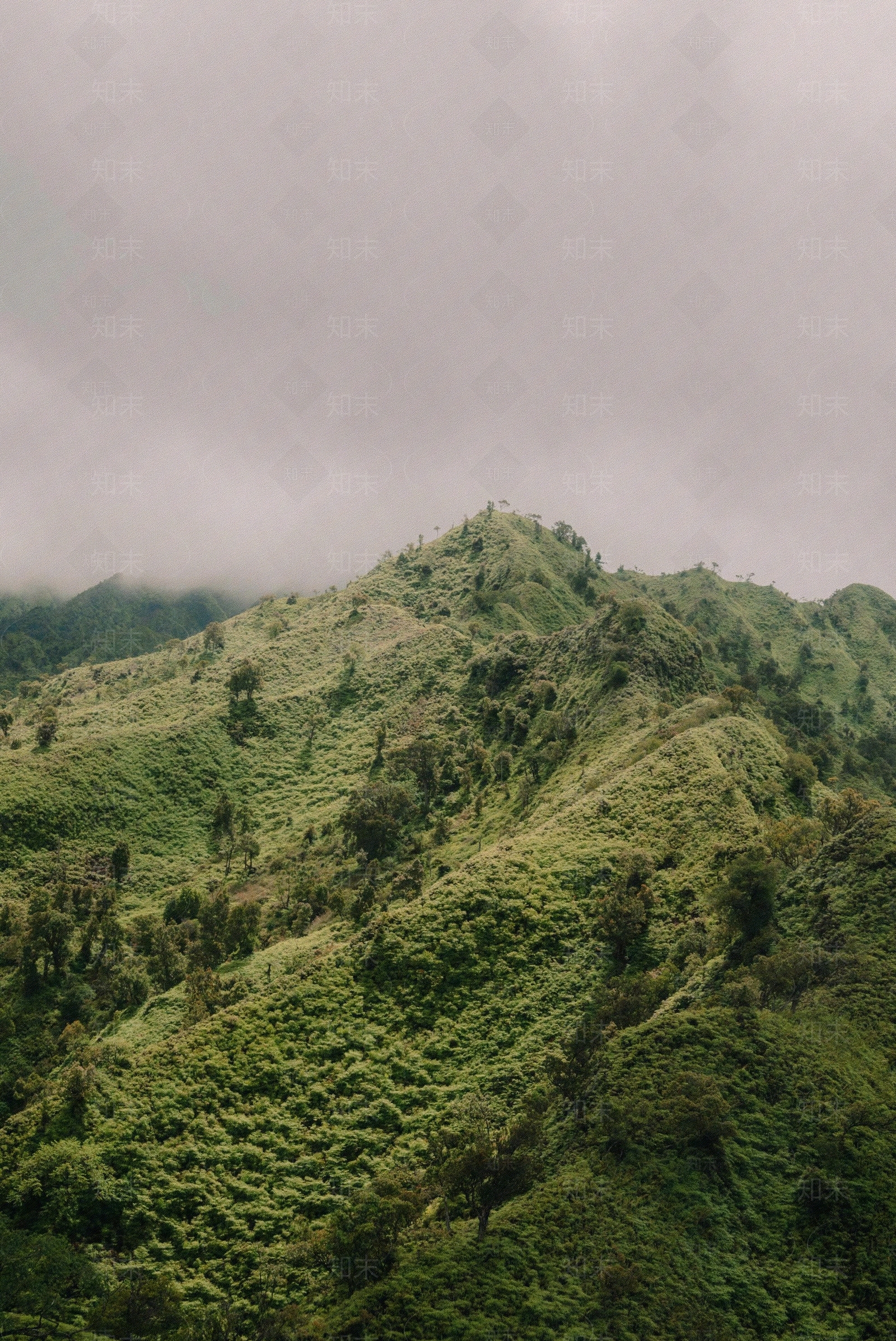 现代山贴图下载【ID:1192721801】