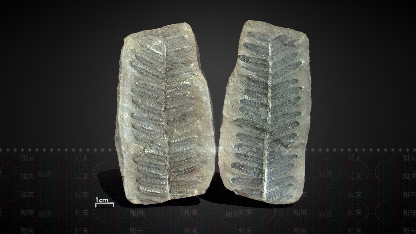 现代石头3D模型下载【ID:1192723251】