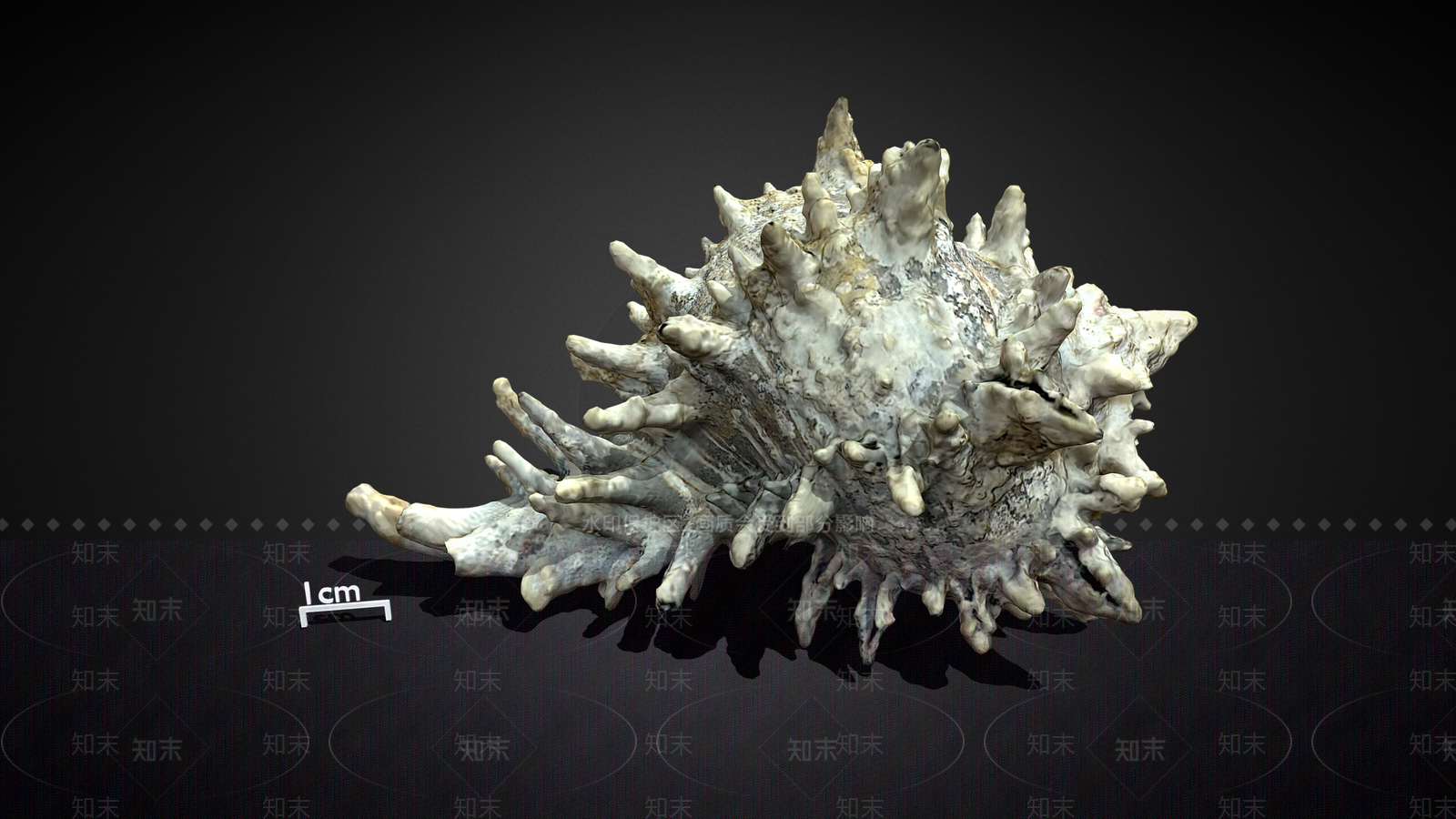 现代挂件3D模型下载【ID:1192726481】