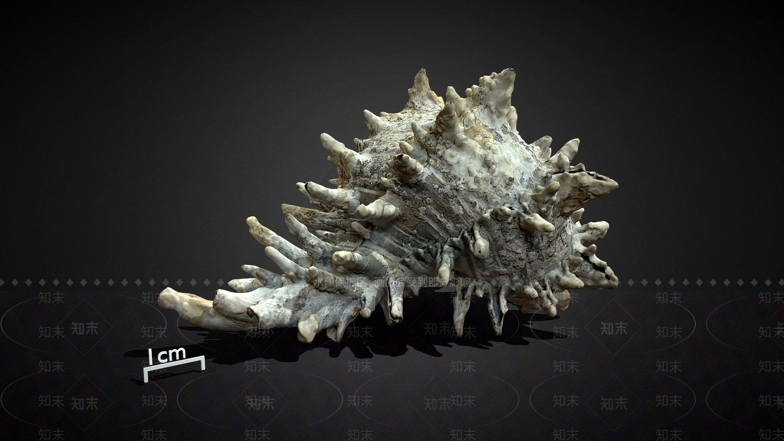 现代挂件3D模型下载【ID:1192726481】
