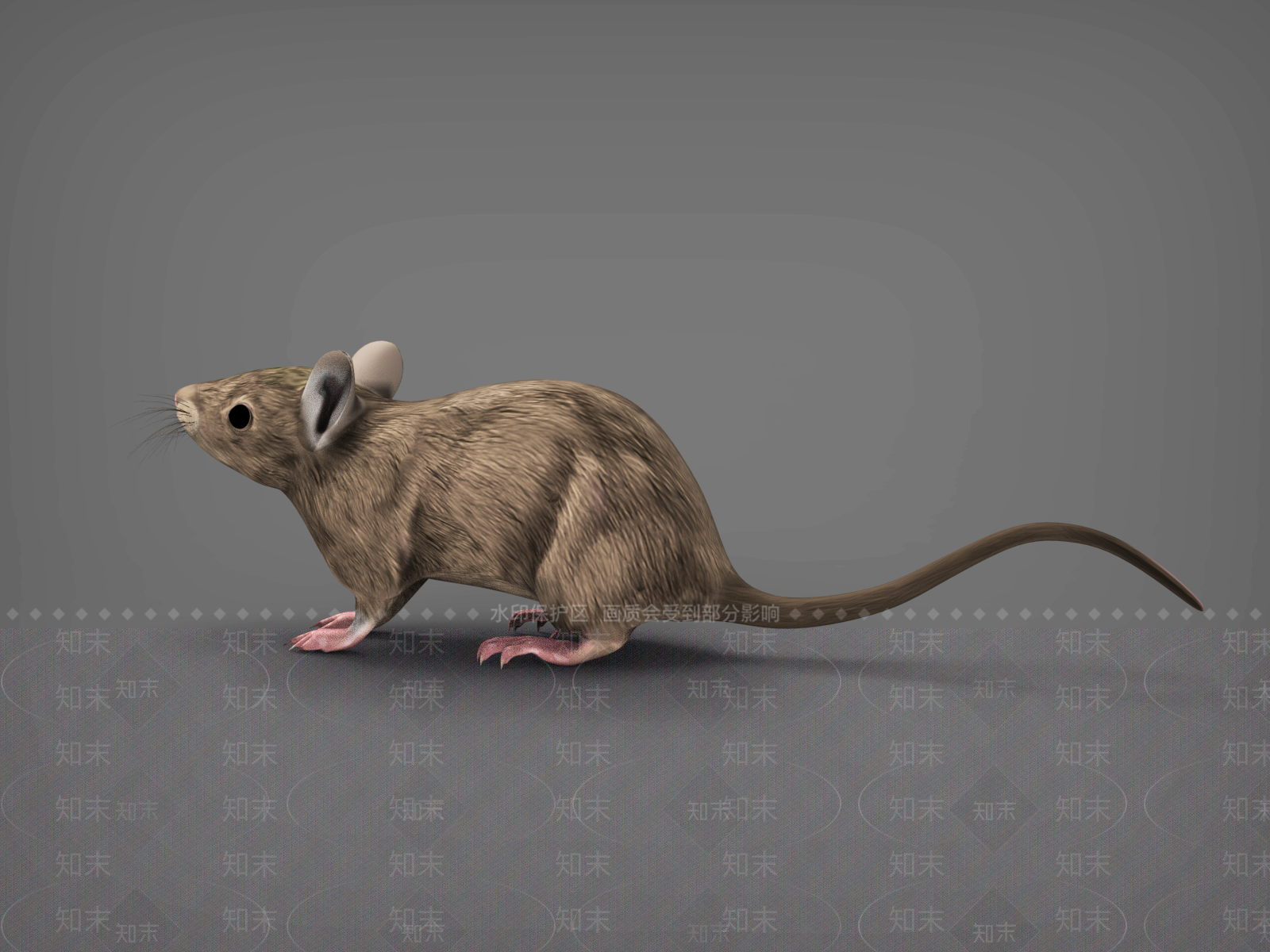 爬行类动物3D模型下载【ID:1192749331】