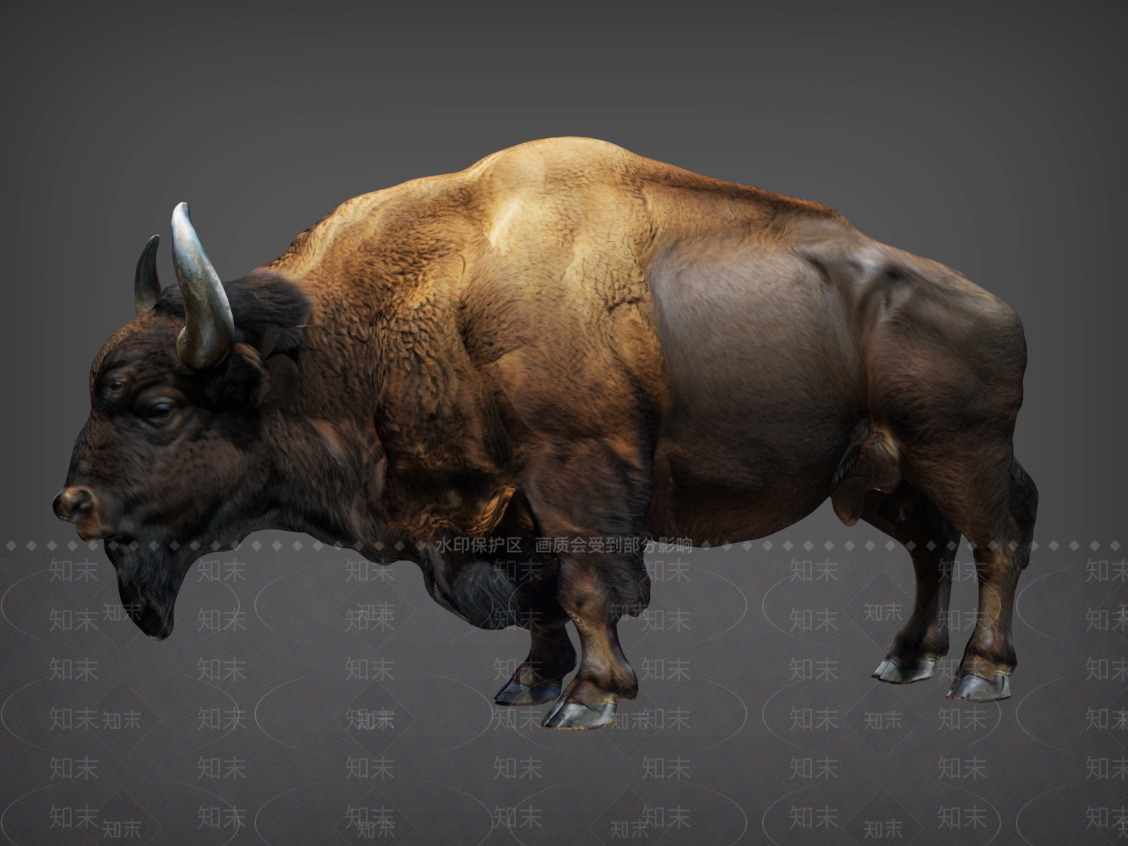 爬行类动物3D模型下载【ID:1192750199】