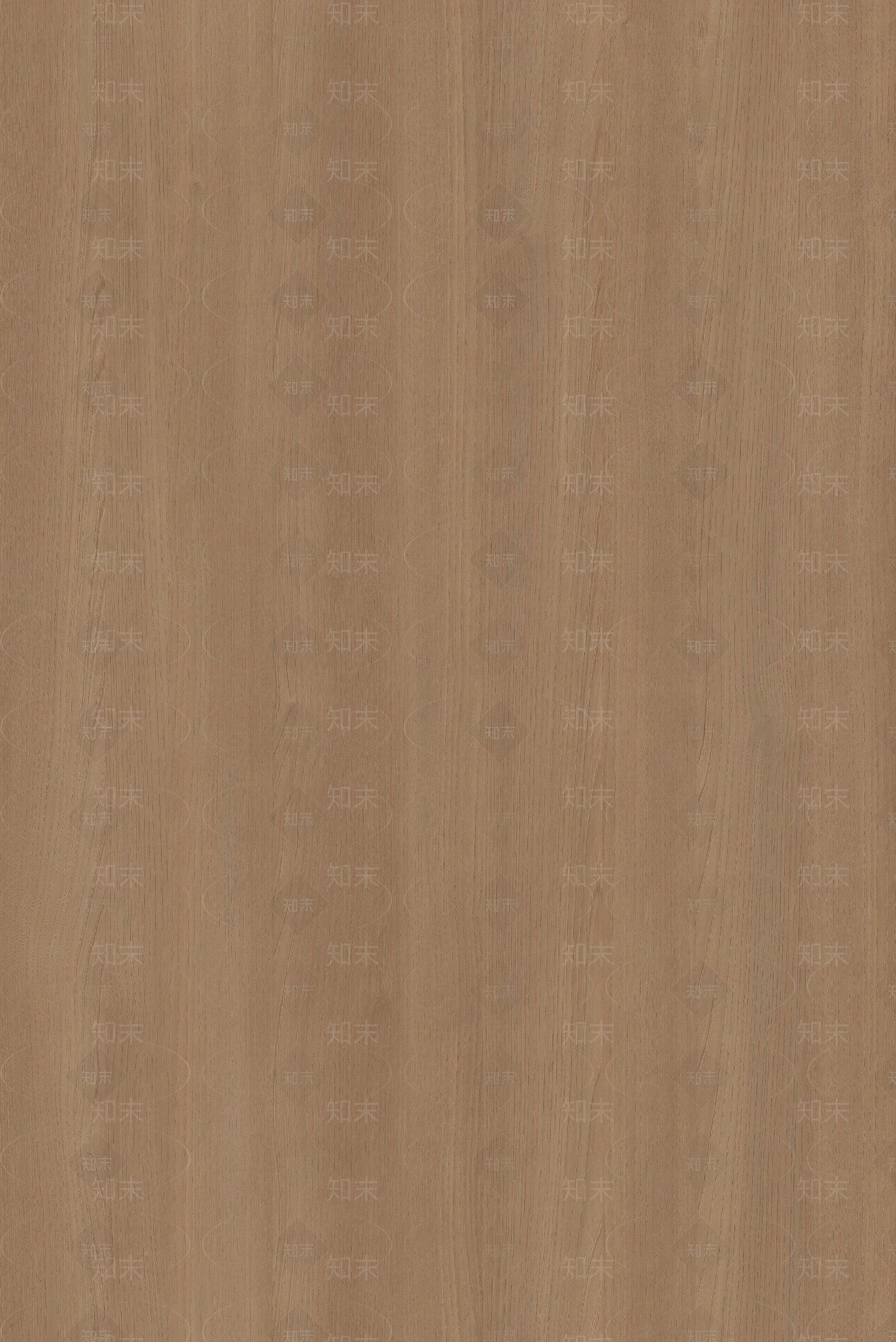 现代轻奢其他木纹贴图下载【ID:1192772488】