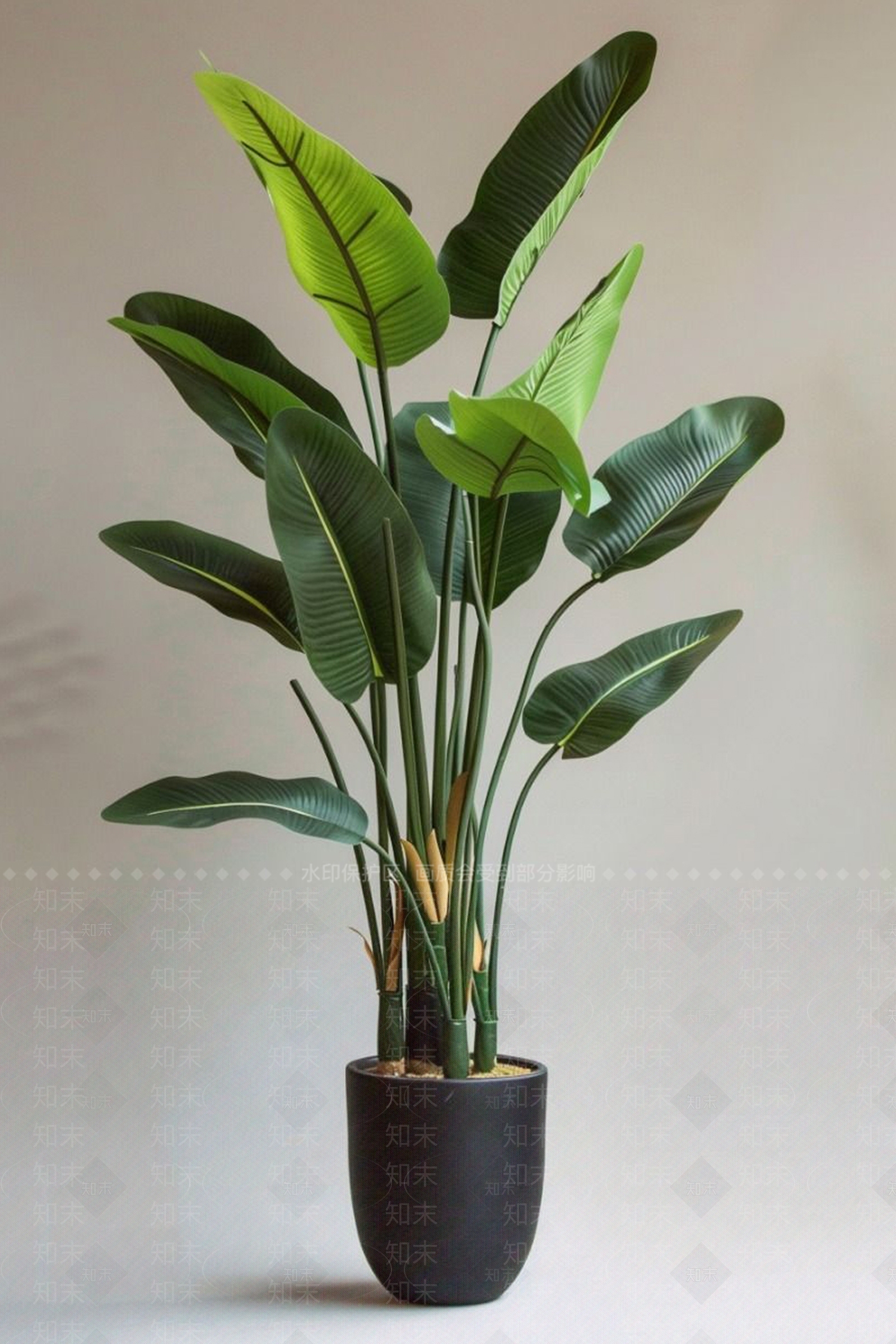 盆栽SU模型下载【ID:1192802916】