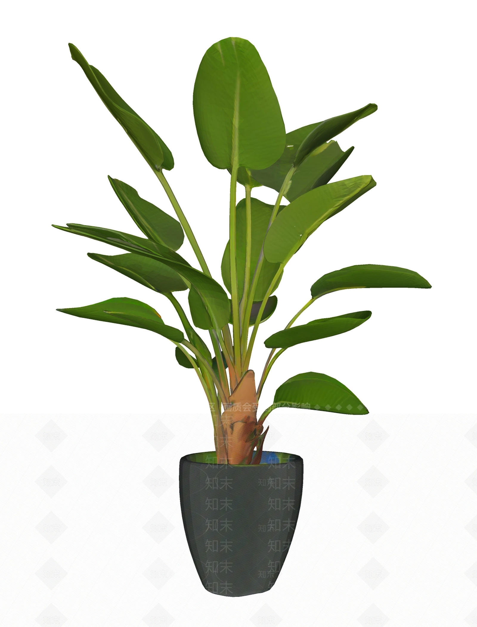 盆栽SU模型下载【ID:1192803325】