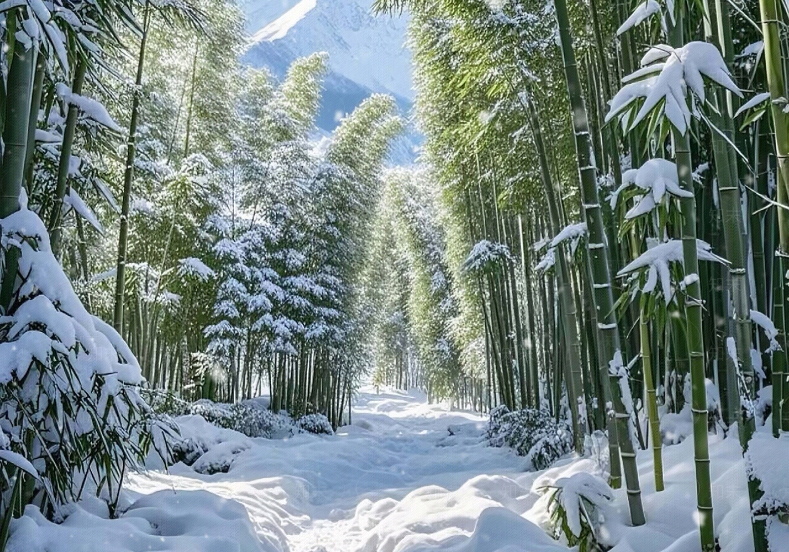 现代街道外景贴图下载【ID:1192806672】
