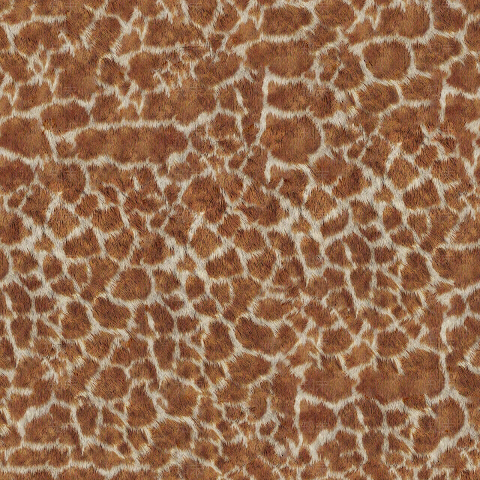 现代动物皮毛贴图下载【ID:1192826015】