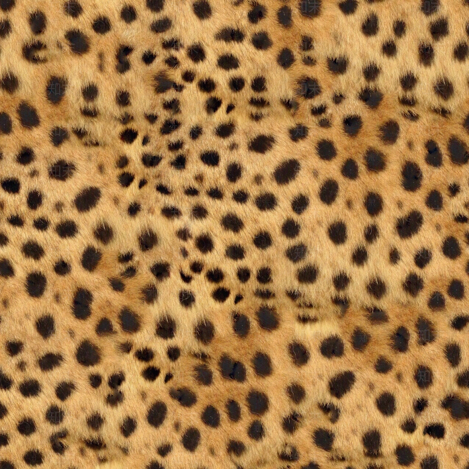 现代动物皮毛贴图下载【ID:1192856636】