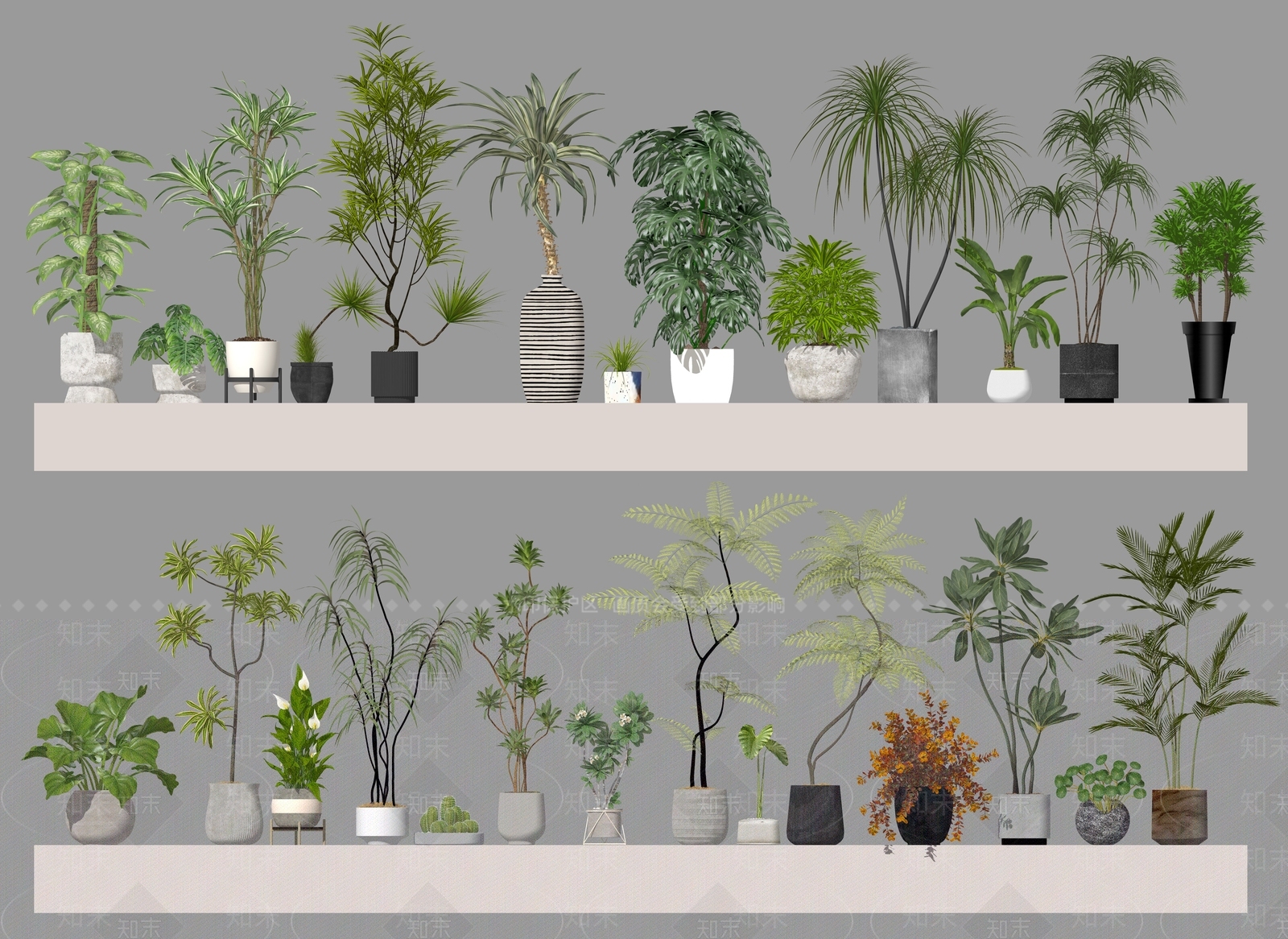盆栽SU模型下载【ID:1192864538】