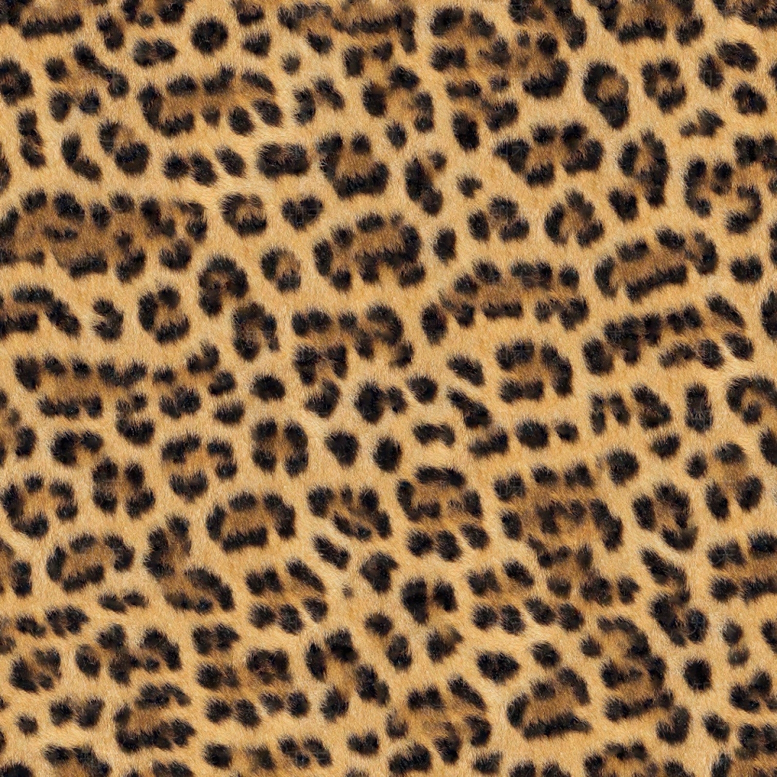 现代动物皮毛贴图下载【ID:1192868033】